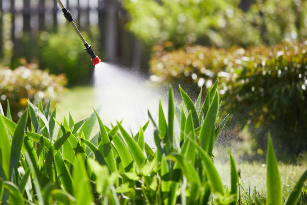 Tamper-Resistant Bait Stations for Rodents in Pace