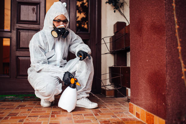 Attic and Crawl Space Rodent Treatment in Pace